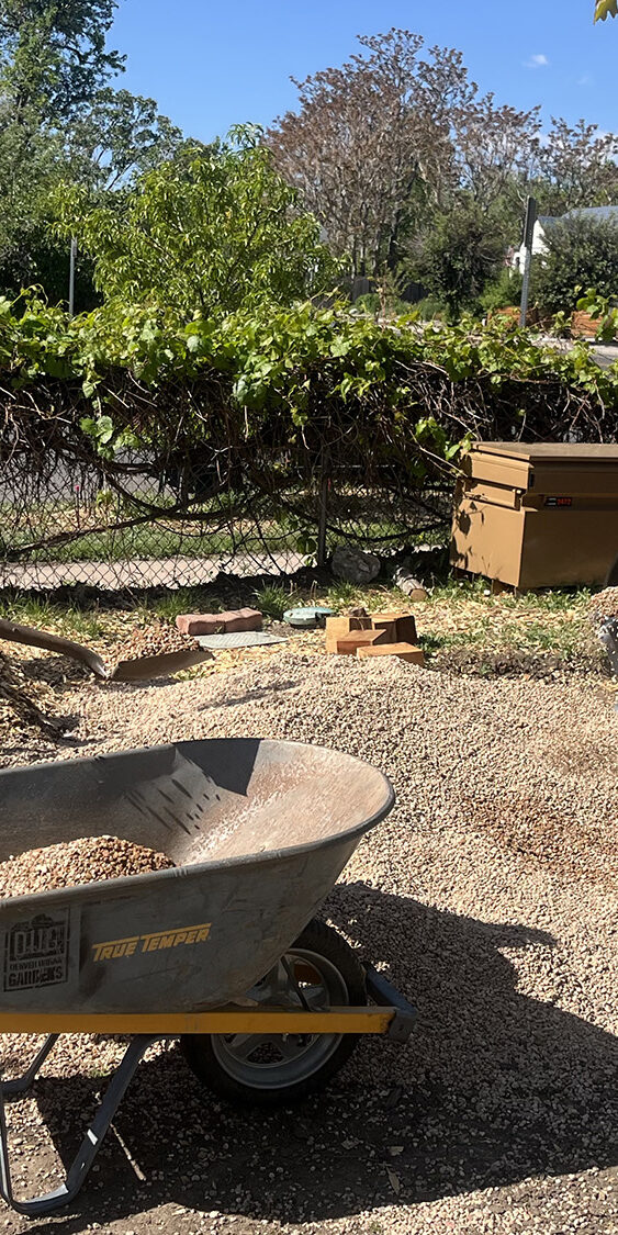 Community, Denver Urban Gardens